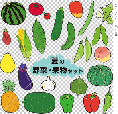 手繪風格夏季蔬果素材套裝 手繪風格夏季蔬果素材套裝 142370237