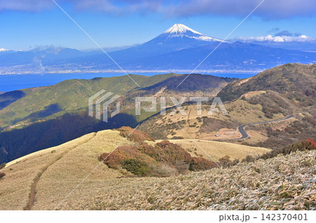 伊豆半島の伊豆山稜線歩道 達磨山の笹原に続く登山道から望む富士山 伊豆半島の伊豆山稜線歩道 達磨山の笹原に続く登山道から望む富士山 142370401