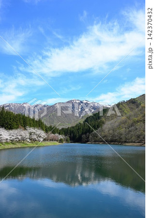粟ヶ岳県民休養地の桜と加茂水源地(新潟県加茂市) 粟ヶ岳県民休養地の桜と加茂水源地(新潟県加茂市) 142370432