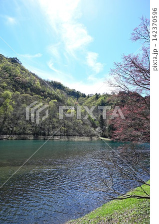 粟ヶ岳県民休養地と加茂水源地(新潟県加茂市) 粟ヶ岳県民休養地と加茂水源地(新潟県加茂市) 142370596