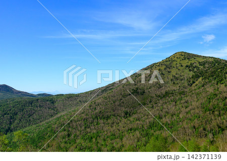 湯ノ丸山と遠く富士山を望む初夏の山並み 湯ノ丸山と遠く富士山を望む初夏の山並み 142371139