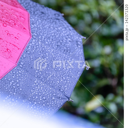 傘についた雨粒・梅雨・雨のイメージ 142371320