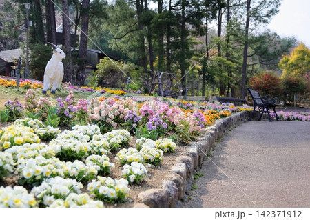 爽やか 春の花壇 爽やか 春の花壇 142371912