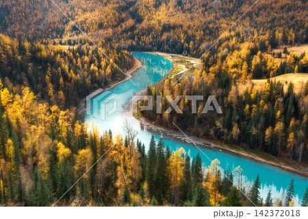 Aerial Autumn Forest Landscape with Turquoise Winding River Aerial Autumn Forest Landscape with Turquoise Winding River 142372018