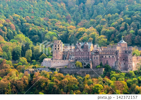Historic Castle Ruins in Autumn Forest Landscape Historic Castle Ruins in Autumn Forest Landscape 142372157