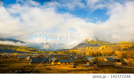 Autumn Mountain Village Under Dramatic Clouds and Golden Forest 142372246