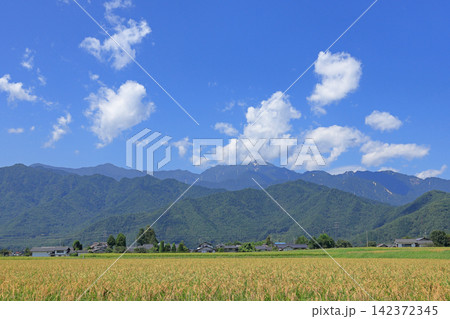 安曇野 8月の田園と北アルプス 安曇野 8月の田園と北アルプス 142372345