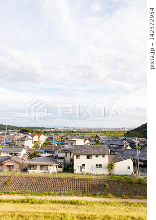 平荘湖の散歩道から望む瓦屋根が連なる平荘町池尻（兵庫県加古川市） 142372954
