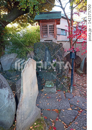 長円寺（足立） 142373700