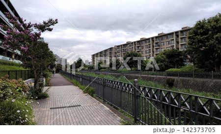 川沿いに建つ集合住宅と都市河川 川沿いに建つ集合住宅と都市河川 142373705