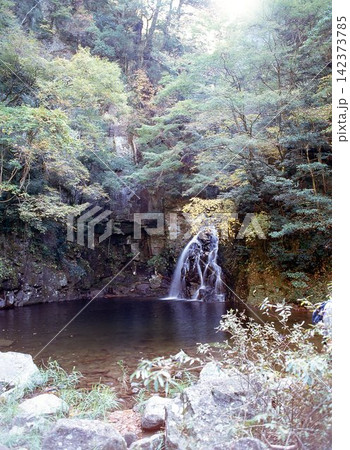 昭和54年9月の赤目四十八滝 昭和54年9月の赤目四十八滝 142373785