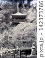 昭和55年2月の室生寺 142373786