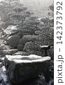 昭和56年3月の百済寺の庭 142373792