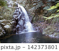 昭和54年9月の赤目四十八滝 142373801