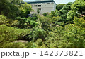 松山市　 142373821