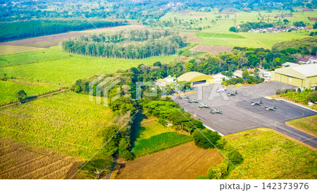 Aerial view of rice fields and plantations 142373976