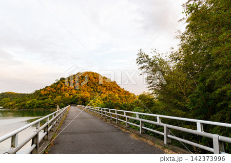 散歩道から望む平荘湖(兵庫県加古川) 散歩道から望む平荘湖(兵庫県加古川) 142373996
