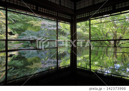 京都瑠璃光院 机に映る10月の青もみじ 京都瑠璃光院 机に映る10月の青もみじ 142373998