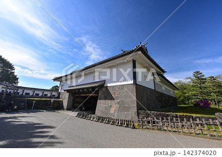 ツツジ咲く金沢城公園の春 ツツジ咲く金沢城公園の春 142374020