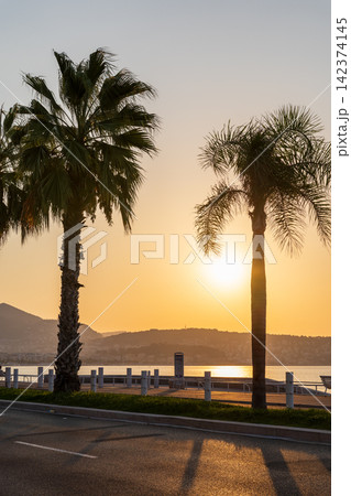 真夏の南フランスのニースの海岸通りの夜明けの風景 真夏の南フランスのニースの海岸通りの夜明けの風景 142374145