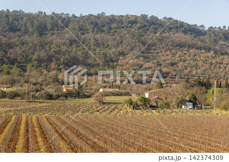 Provence Hillside Village with Winter Vineyards Provence Hillside Village with Winter Vineyards 142374309