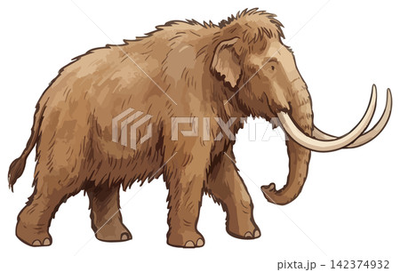 シズル感のあるマンモスのイラスト シズル感のあるマンモスのイラスト 142374932