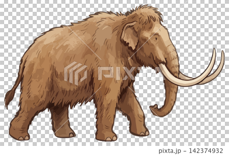 シズル感のあるマンモスのイラスト シズル感のあるマンモスのイラスト 142374932