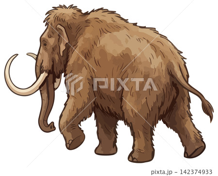 シズル感のあるマンモスのイラスト シズル感のあるマンモスのイラスト 142374933