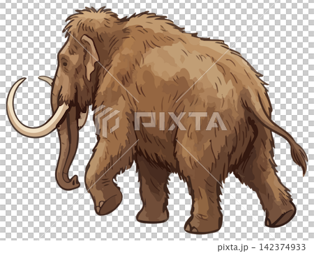 シズル感のあるマンモスのイラスト シズル感のあるマンモスのイラスト 142374933