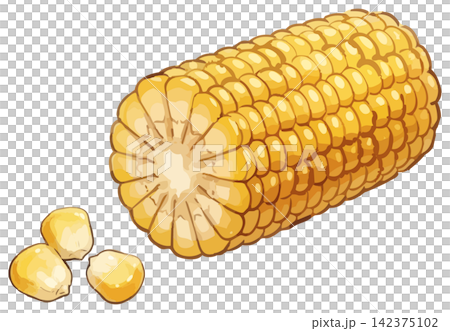 A mouthwatering illustration of corn A mouthwatering illustration of corn 142375102