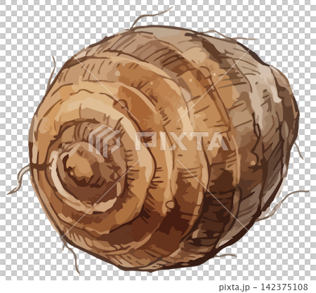 一幅令人垂涎欲滴的芋頭插圖 142375108