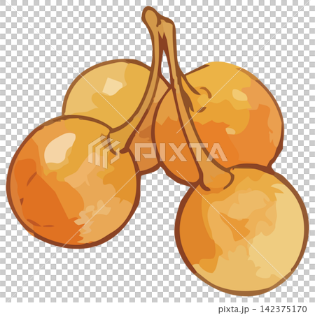 A visually appealing illustration of ginkgo leaves. A visually appealing illustration of ginkgo leaves. 142375170
