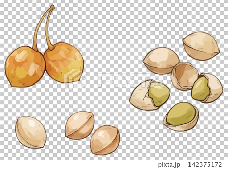 A visually appealing illustration of ginkgo leaves. A visually appealing illustration of ginkgo leaves. 142375172