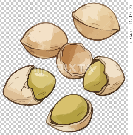 A visually appealing illustration of ginkgo leaves. A visually appealing illustration of ginkgo leaves. 142375175