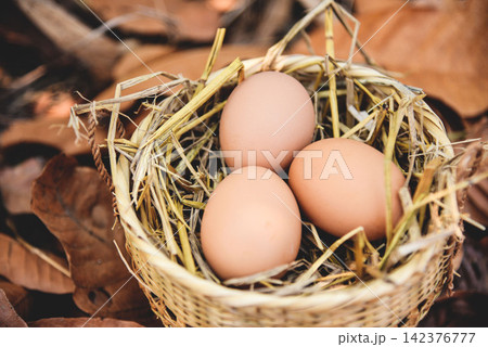 Chicken eggs in basket nest with dry autumn leaves background Chicken eggs in basket nest with dry autumn leaves background 142376777