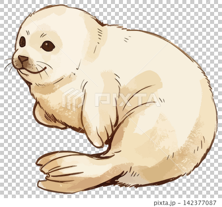 A mouthwatering illustration of a seal A mouthwatering illustration of a seal 142377087