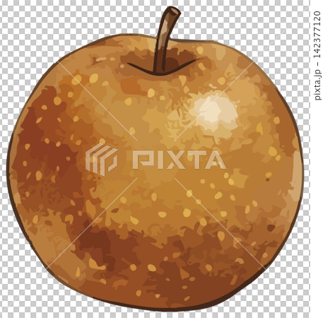 A mouthwatering illustration of a Japanese pear A mouthwatering illustration of a Japanese pear 142377120
