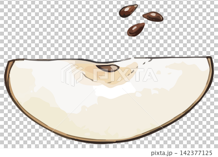 シズル感のある和梨のイラスト シズル感のある和梨のイラスト 142377125