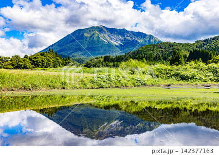 大山を望む鳥取県の自然風景 142377163