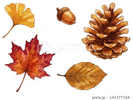 シズル感のある紅葉のイラスト シズル感のある紅葉のイラスト 142377184