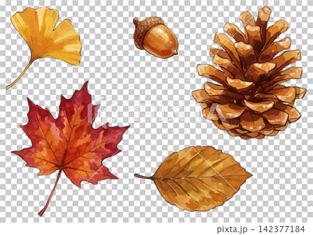 A vivid illustration of autumn leaves A vivid illustration of autumn leaves 142377184
