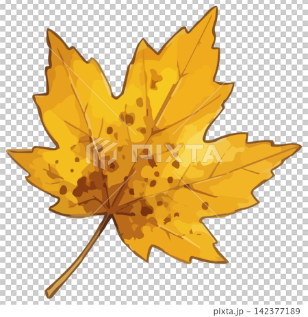 A vivid illustration of autumn leaves A vivid illustration of autumn leaves 142377189