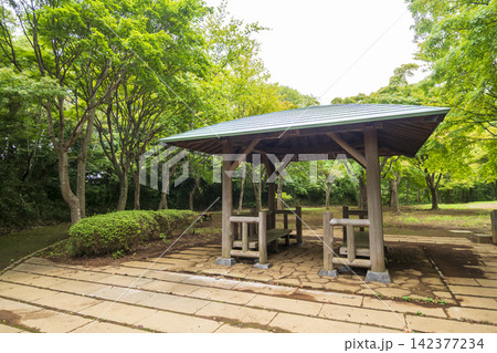 夏の田んぼの横浜市戸塚区舞岡ふるさと公園 夏の田んぼの横浜市戸塚区舞岡ふるさと公園 142377234