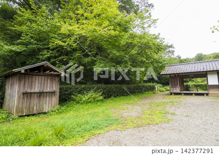 夏の田んぼの横浜市戸塚区舞岡ふるさと公園 夏の田んぼの横浜市戸塚区舞岡ふるさと公園 142377291