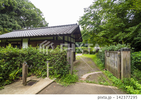 夏の田んぼの横浜市戸塚区舞岡ふるさと公園 夏の田んぼの横浜市戸塚区舞岡ふるさと公園 142377295