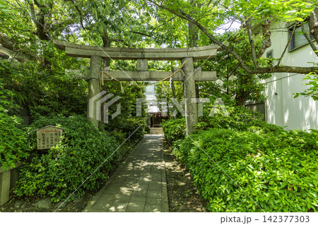 大阪 真田山 三光神社 境内社鳥居 大阪府大阪市 大阪 真田山 三光神社 境内社鳥居 大阪府大阪市 142377303