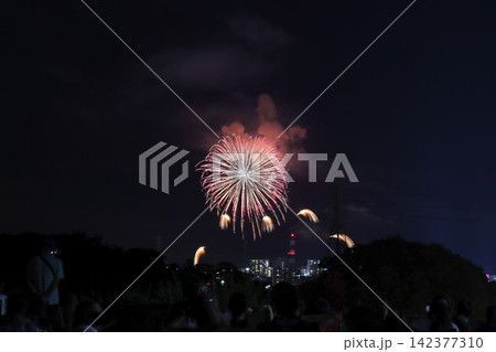 夏の夜空を彩る2026年の今治おんまく花火 142377310