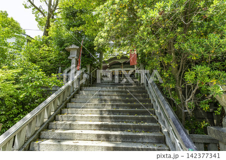 大阪 真田山 三光神社 石段 大阪府大阪市 大阪 真田山 三光神社 石段 大阪府大阪市 142377341