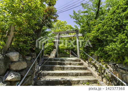 大阪 真田山 三光神社 東鳥居 大阪府大阪市 大阪 真田山 三光神社 東鳥居 大阪府大阪市 142377368