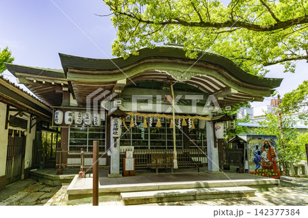 大阪 真田山 三光神社 拝殿 大阪府大阪市 大阪 真田山 三光神社 拝殿 大阪府大阪市 142377384